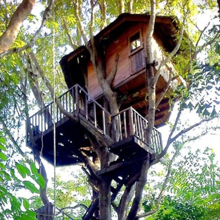 צ'יאנג מאי Rabeang Pasak Tree House Resort מראה חיצוני תמונה
