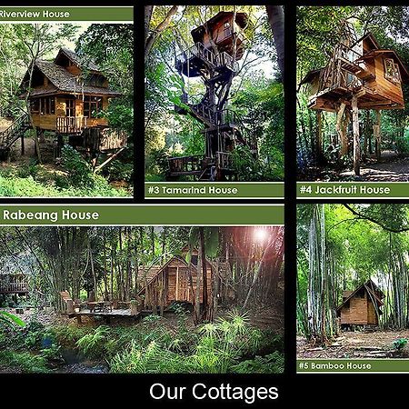 צ'יאנג מאי Rabeang Pasak Tree House Resort מראה חיצוני תמונה